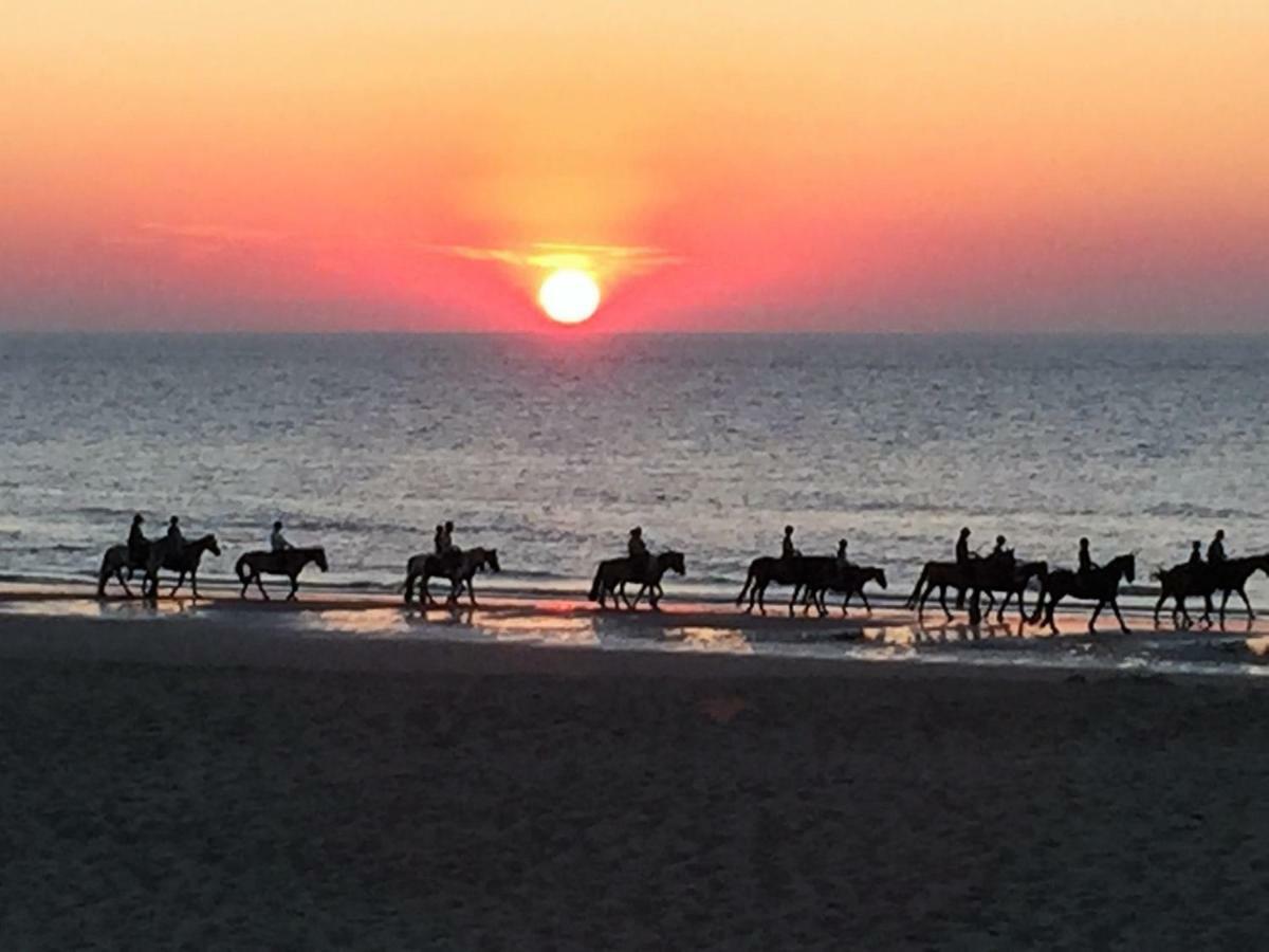 Vissershuisjes Wenduine-De Haan ภายนอก รูปภาพ